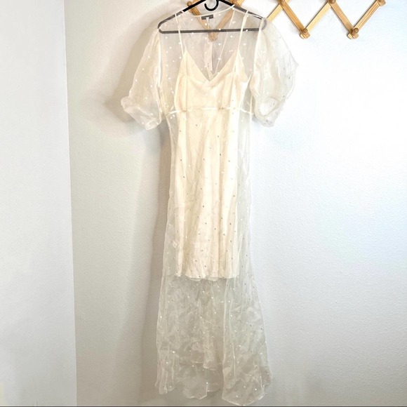 Olivia Von Halle Delphine Sheer Dress - Picture 12 of 15